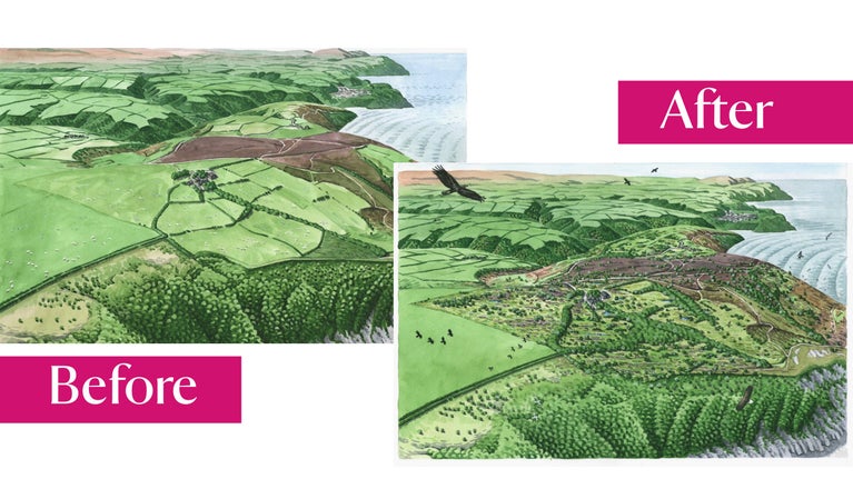 A view of the landscape as it is now with out many trees and diversity, compared with a future vision filled with trees, animals and a variety of habitats.